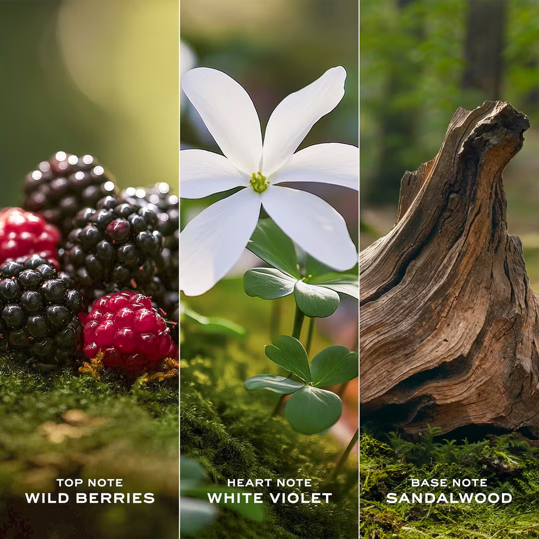 Marc Jacobs Daisy Eau de Toilette