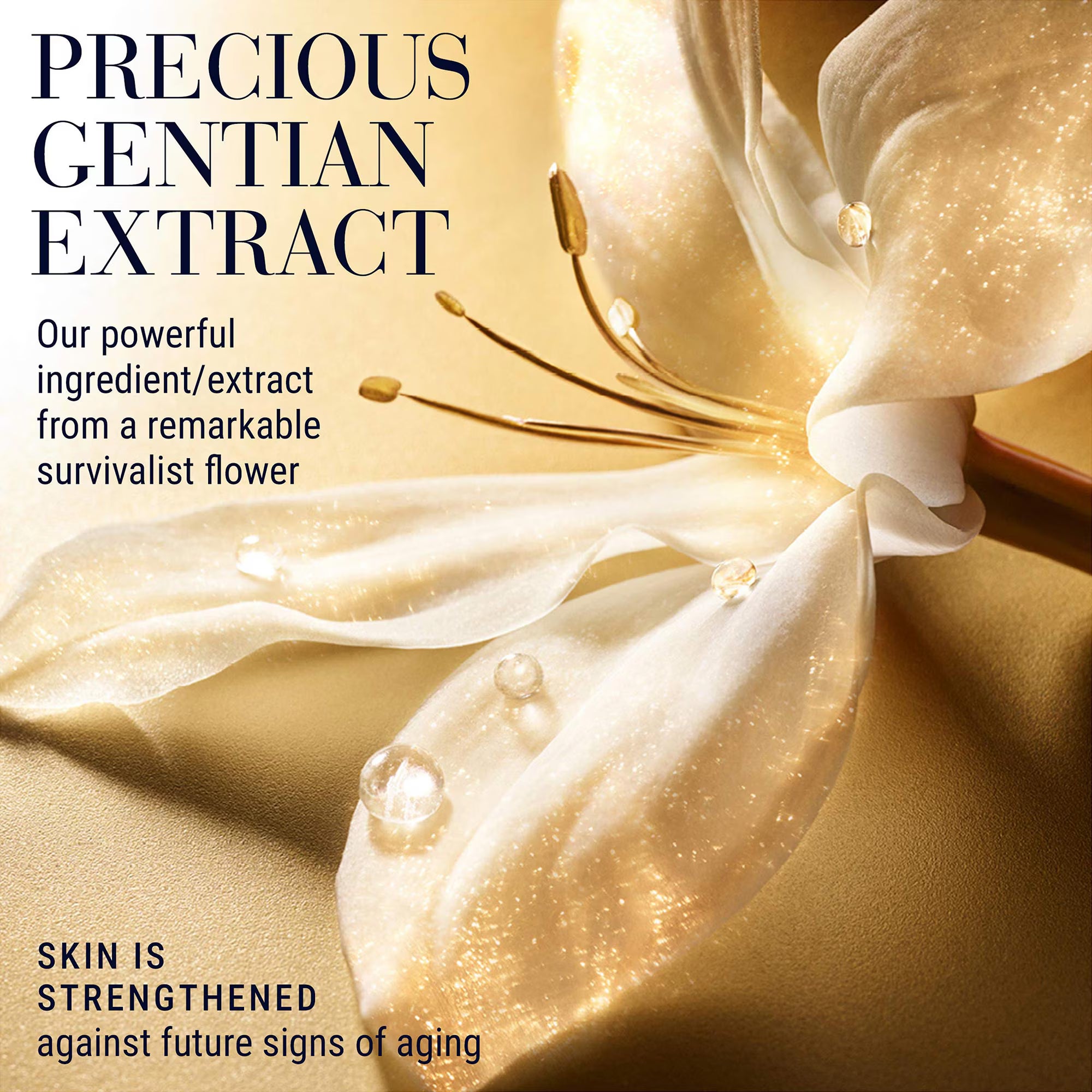 Estée Lauder Re-Nutriv Ultimate Lift Regenerating Firming & Anti-Aging Youth Cream Moisturizer, 1.7 oz.