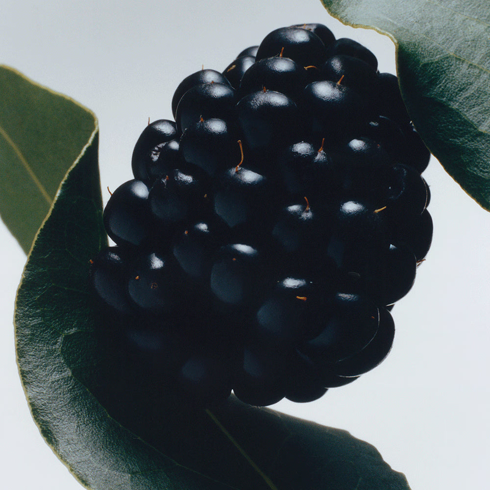 Jo Malone London Blackberry & Bay Cologne