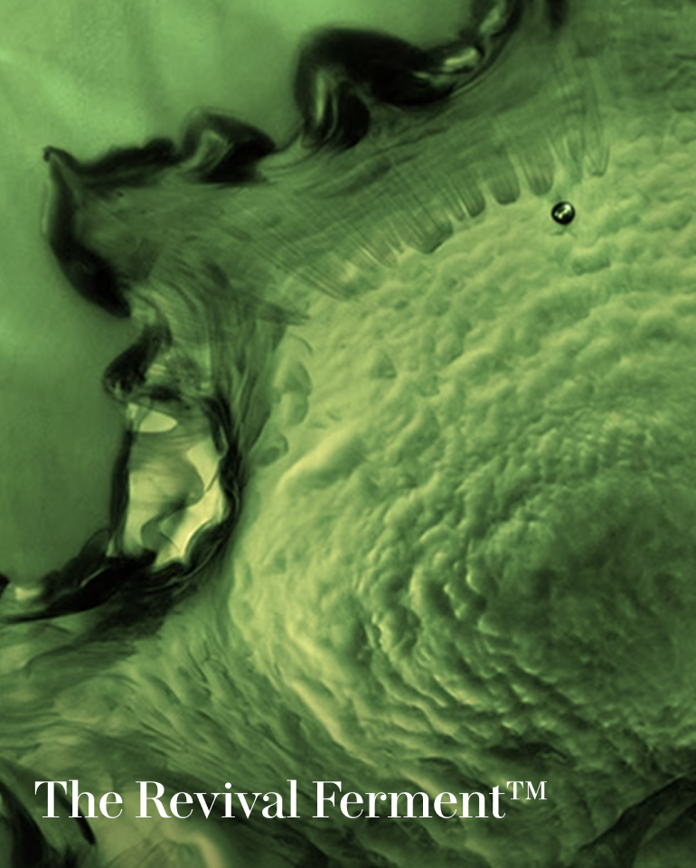 La Mer The Treatment Lotion