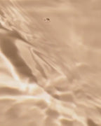 LA MER The Essential Tonic